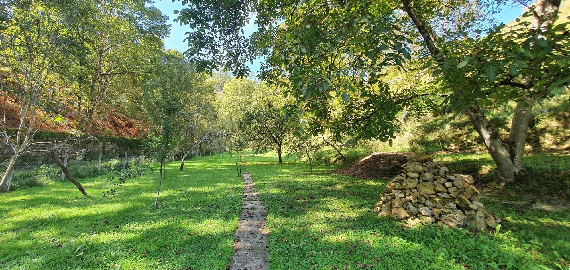 La Casona De La Vega Junto A Cangas De Onis Luaran gambar